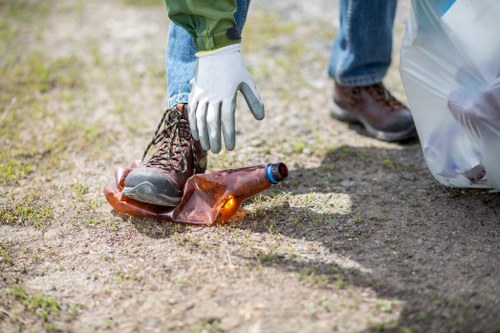Steps to efficiently use a domestic skip